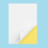 Decal đế vàng keo hotmelt 210MM - 297MM